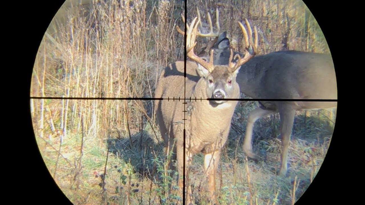 Archery Stand Check-up