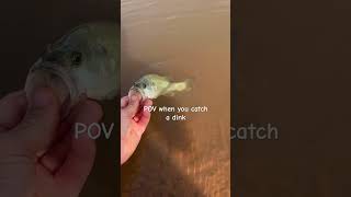 Dinks pov