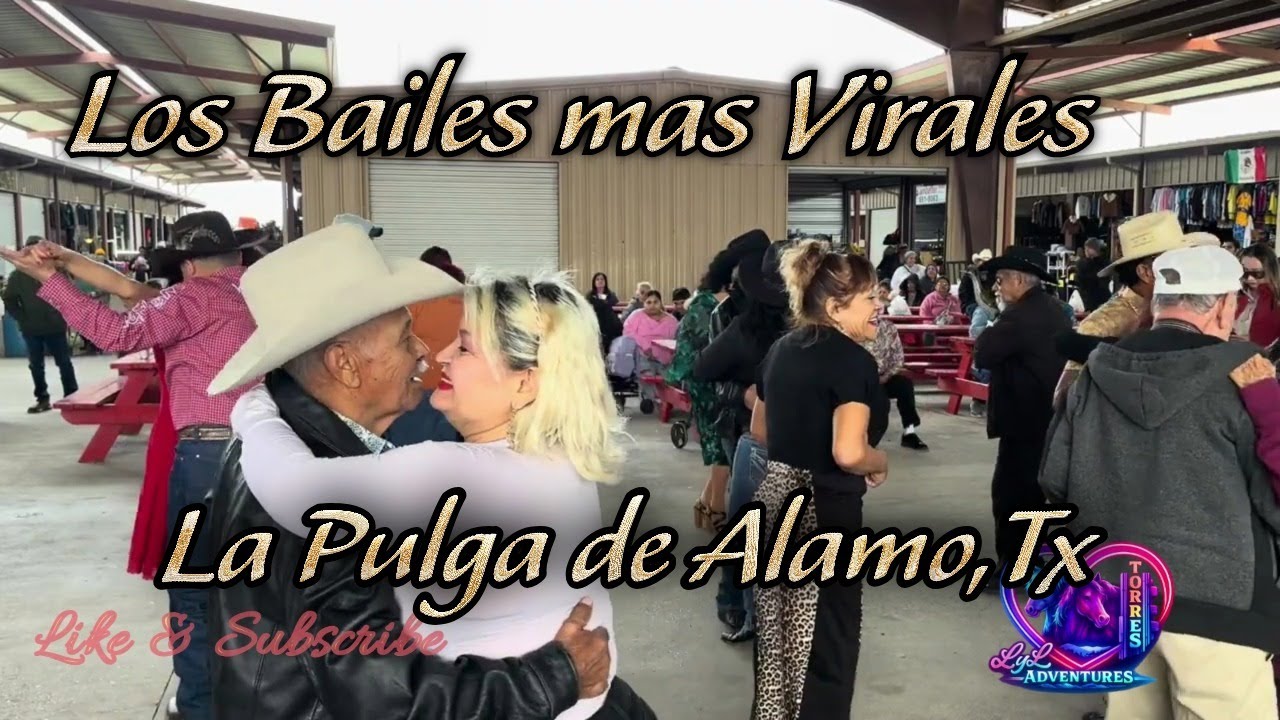 Los Bailes mas Virales de La Pulga DE Alamo Texas