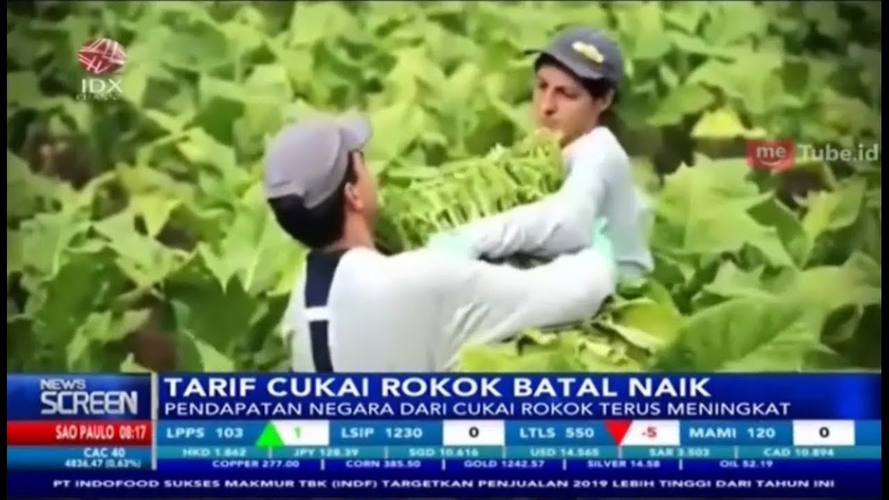 PENDAPATAN NEGARA DARI CUKAI ROKOK TERUS MENINGKAT