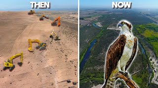 Restoring The Colorado River Back Into An Oasis In The Desert For Migrating Birds