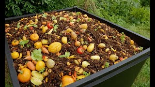 The Art and Science of Composting: Turn Waste into Garden Gold!