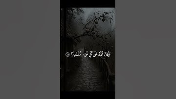 "وَاضْرِبْ لَهُم مَثَلَ الْحَيَاةِ الدُّنْيَا | تلاوة خاشعة بصوت القارئ إسلام صبحي"
