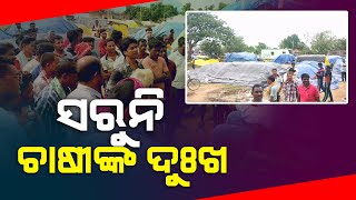 Farmers In Distress Over Mandi Mismanagement & Irregularities In Paddy Procurement In Junagarh Block