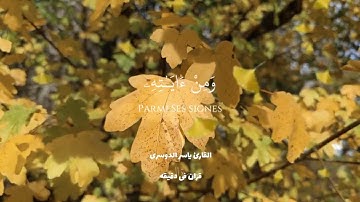 قران كريم ارح قلبك وسمعك #quran #yasseraldossary #قران #المصحف @قران_في_دقيقة