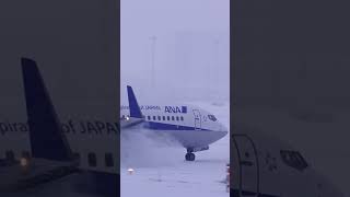 Sapporo New Chitose Airport in heavy snow ANA B737 full reverse