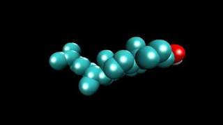 Cholesterol Model