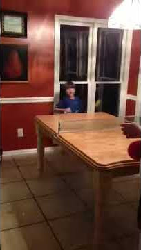 Ping Pong Kitchen Table