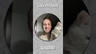 Что Если Котику Наклеить На Лапки Наждачку? Приколы От Зубарева #Shorts #Zubarefff #Funnyvideo #Meme