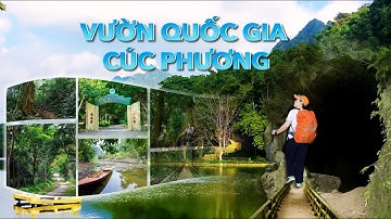 Mẫu Slide Vườn Quốc Gia Cúc Phương – Template PPT Tự Nhiên & Ấn Tượng