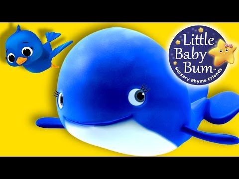 Learn with Little Baby Bum | The Little Blue Whale | Nursery Rhymes for Babies | Songs for Kids