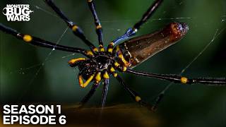 The Serial Killer’s Art of Mummification | Monster Bug Wars Season 1 Episode 6