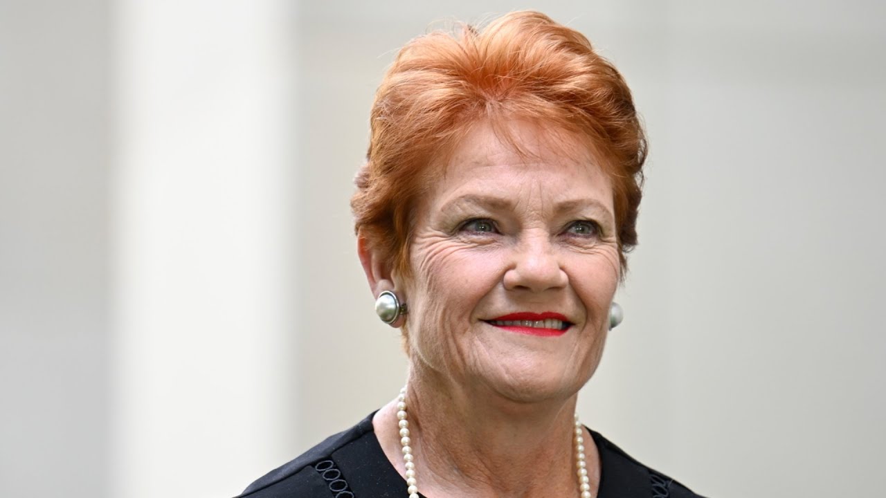 Nothing racist about protecting your country': One Nation's ...