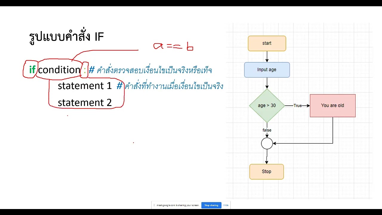 เขียน โปรแกรม ออนไลน์  2022  สอนออนไลน์ การเขียนเขียนโปรแกรม 13/02/2022 เรื่อง IF