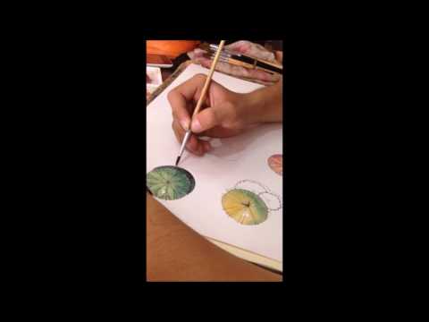 Diễn họa cây - By Tín Trung