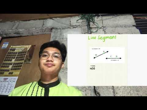 Line Segment, Rays, Opposite rays