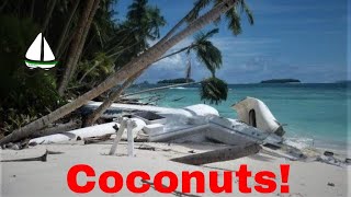 How to Open A Coconut: How to Survive on a Deserted Island in Chagos - Patrick Childress Sailing #17 screenshot 4
