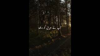 Nabi E Pak Saw Ne Fermaya Aye Jibrael As