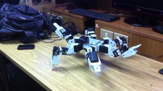Bioloid King Spider balance and dancing
