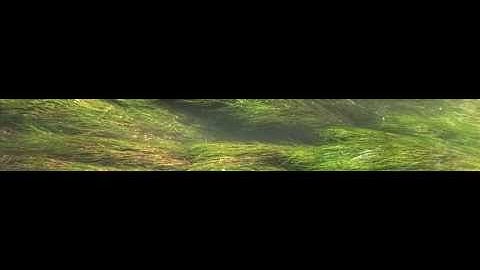 WITH_INTRO "Song for the Universe" by HugoTVideo