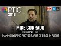 Optic 2018 | Focus on Flight: Making Dynamic Photographs of Birds in Flight | Mike Corrado