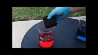 Indicator Sponge - STEM project