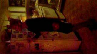 100_0603.MOV