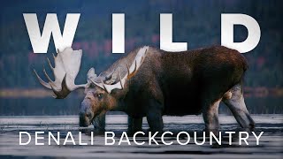 Uncrowded Alaska: A Wilder Denali Backcountry by Natural Habitat Adventures 1,538 views 6 months ago 2 minutes, 24 seconds