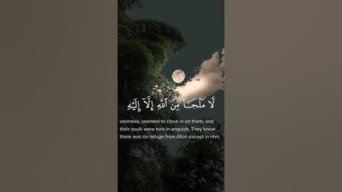 تلاوة من سورة التوبه| القارئ علي جابر رحمه الله