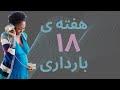 هفته هجدهم بارداری هفته ۱۸ بارداری راهنمای کامل شما در 9 ماه بارداری 