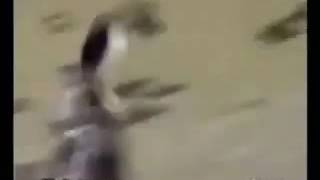Видео-прикол😂😂😋