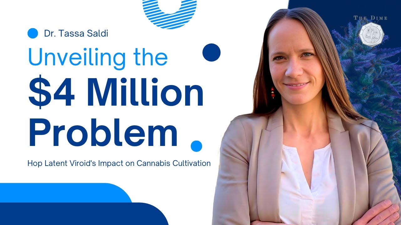 The $4 Million Problem: Hop Latent Viroid's Impact on Cannabis Cultivation ft. Dr. Tassa Saldi
