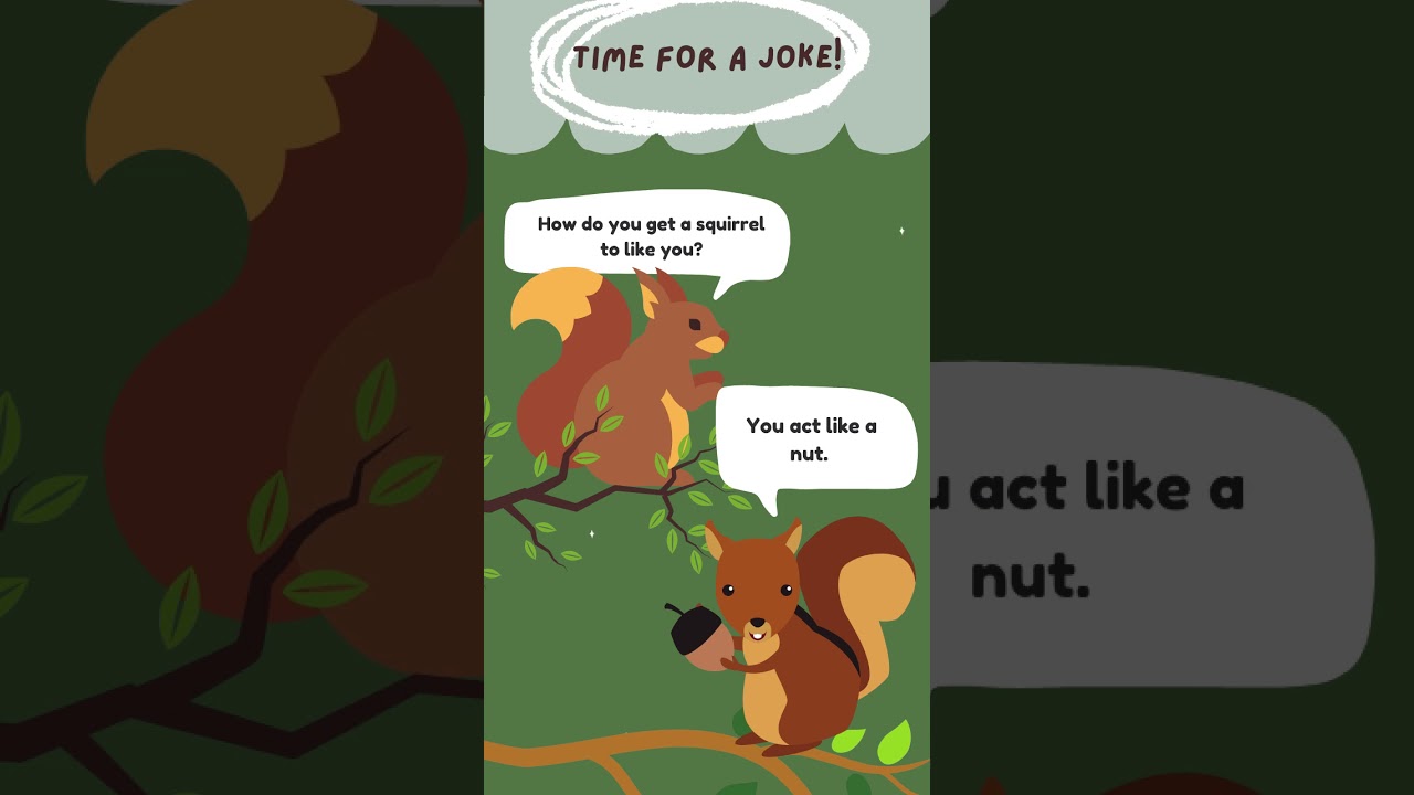 Time For A Joke!  Squirrel Joke