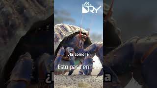 Horizon Forbidden West PS5 | Motor Gráfico Decima al Límite 🤯 Esto pasa en PS5