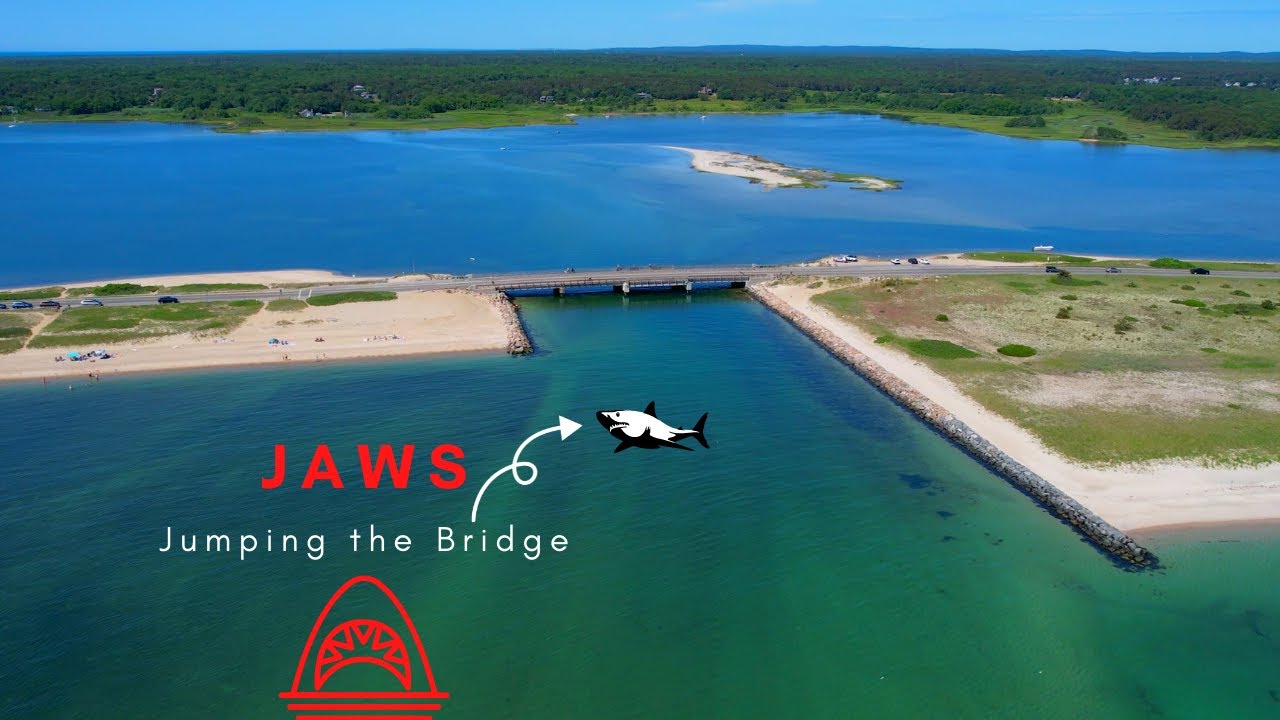 Jumping off the JAWS Bridge! [Marthas Vineyard] - YouTube
