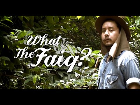 WTFaiq? | The Search For The Kijang Emas (Trailer)