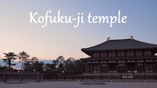 Around Kofuku-ji temple/ deer in kofuku-ji/ Nara Japan