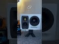 HEDD Type 20 MK2 • Berlin Audiophile Studio Monitors 🎛️