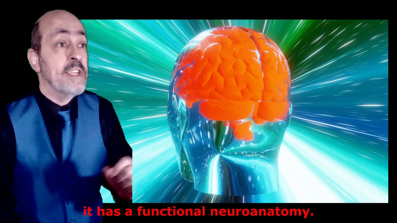 Neuropathology Intro Arie Perry - YouTube