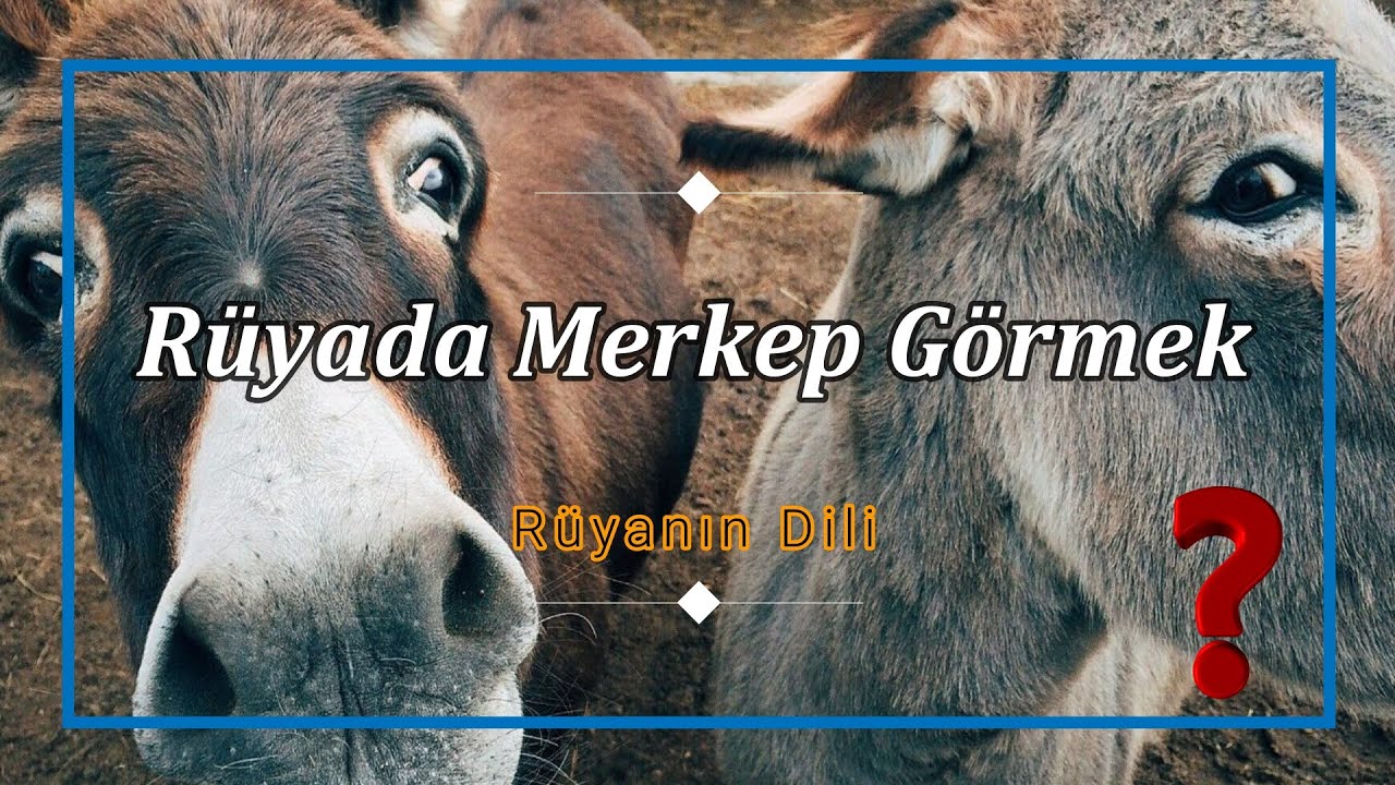 RÜYADA MERKEP GÖRMEK (rüya tabiri) - YouTube