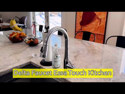 Delta Faucet Essa