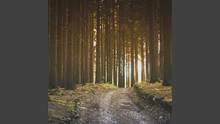 Fiery Ambience for Rejuvenating Experiences
