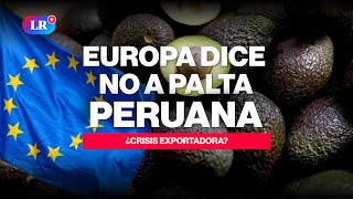 🚨🥑Europa Rechaza La Palta Hass Peruana