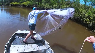 Burnett River Prawning Catch And Cook