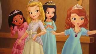 Sofia The First The Royal Slumber Party Disney Junior Read Aloud Story Book Early Childhood