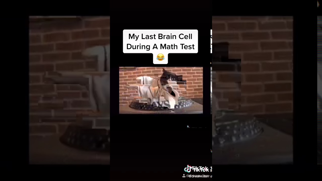 The final brain cells - YouTube