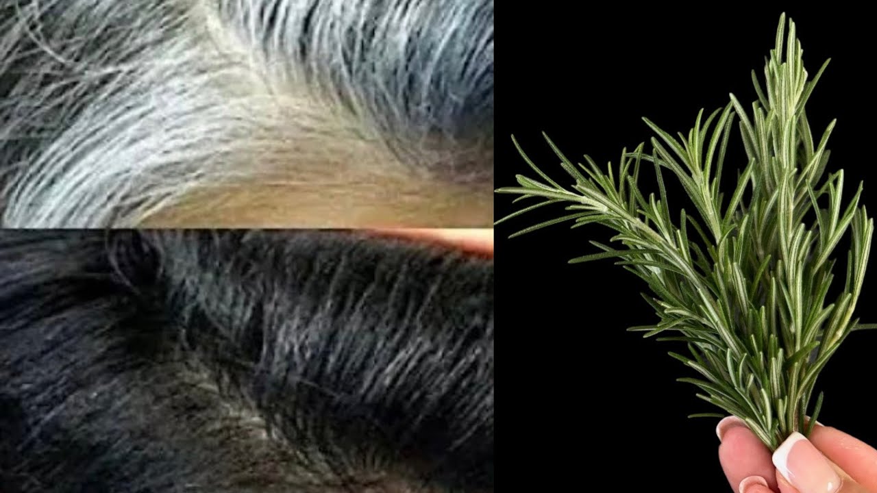 Белые волосы становятся черными. Выпадение волос прекращается. Поврежденные волосы оживают