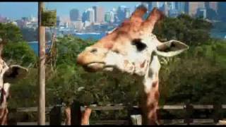 Taronga Zoo TV Advertising Easter April 2010