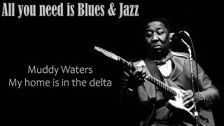Muddy Waters - My home is in the delta