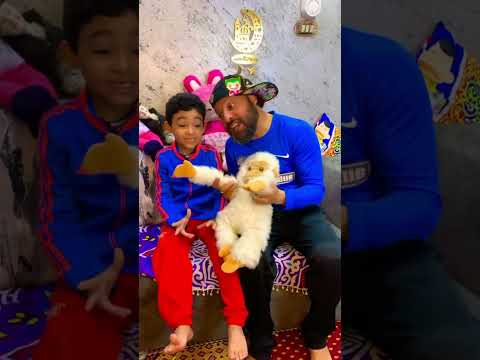 تشيكي تشيكي